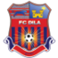 Logo Dila Gori
